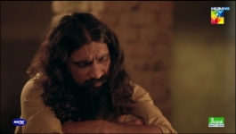 Zard Patton Ka Bunn - Episode 23 - 13th Ocotber 2024